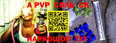 индика Можга
