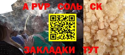 индика Можга
